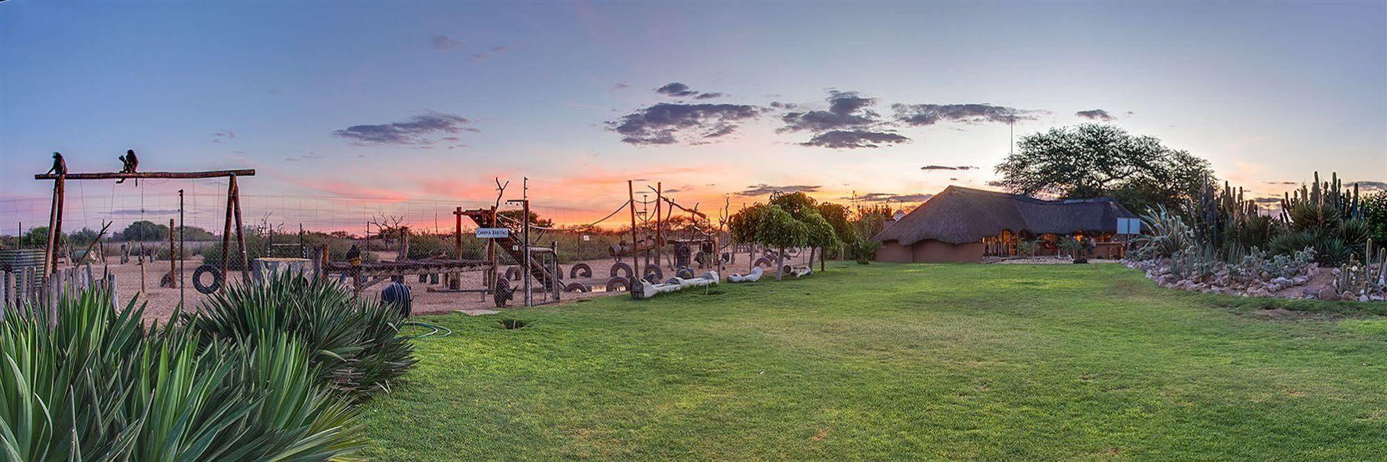 Harnas Wildlife Foundation Gobabis Dış mekan fotoğraf