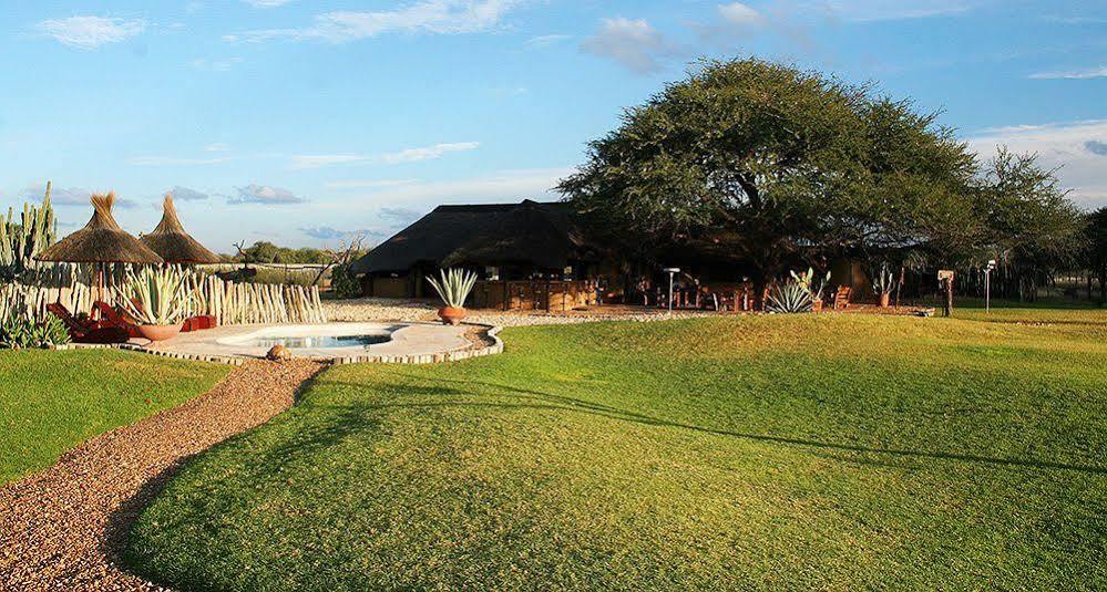 Harnas Wildlife Foundation Gobabis Dış mekan fotoğraf